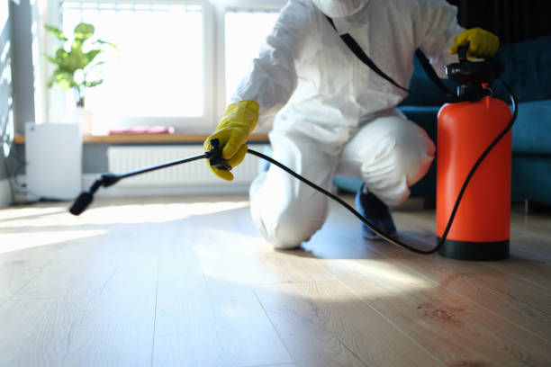 Trusted Trauma Scene Cleanup service in Rydal, GA - Four Month Blood Cleanse